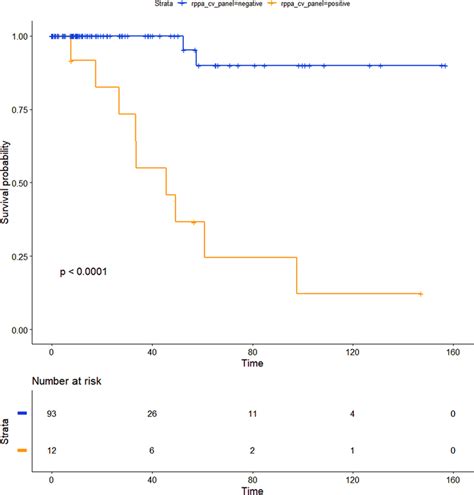 Kaplanmeier Curve Obtained Stratifying Patients According To The