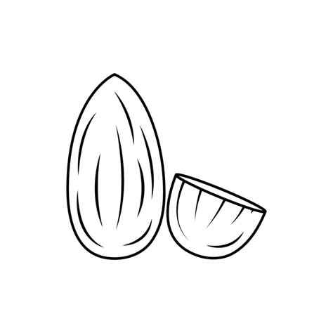 nut outline vector art icons  graphics