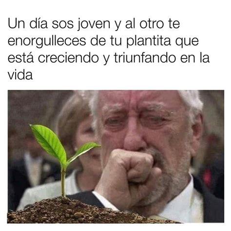 Un D A Sos Joven Y Al Otro Te Enorgulleces De Tu Plantita Que Est