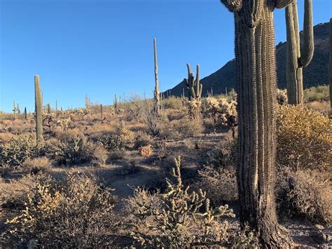 Pass Mountain Trail: Circling the Usery Mountains - Nightborn Travel