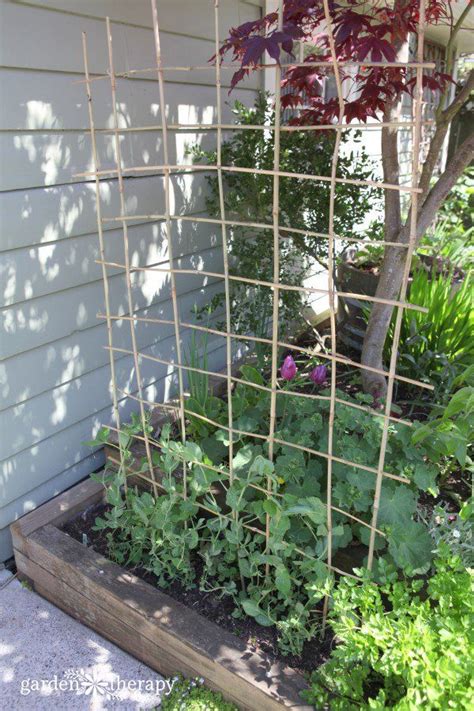 Garden Trellis Tutorial How To Make A Diy Bamboo Trellis Artofit