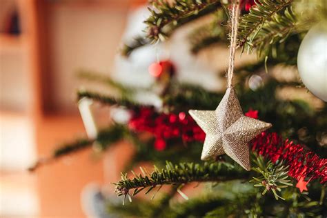 Chamusca Apresenta O Maior Parque Tem Tico De Natal Do Ribatejo