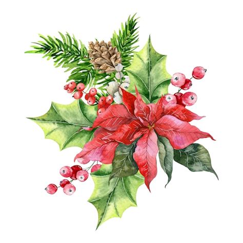 Premium Vector Christmas Watercolor Illustration Winter Floral