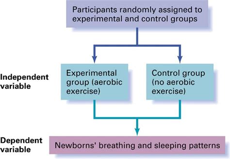 Figure 1 18 From A Topical Approach To Lifespan Development 9e