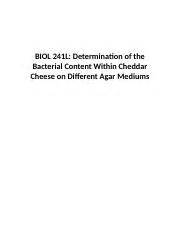 Report Docx Biol L Determination Of The Bacterial Content