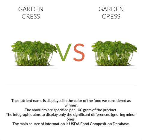 Garden Cress Vs Garden Cress — In Depth Nutrition Comparison