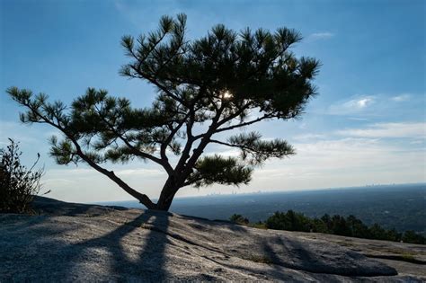 Stone Mountain Park Free Image Download