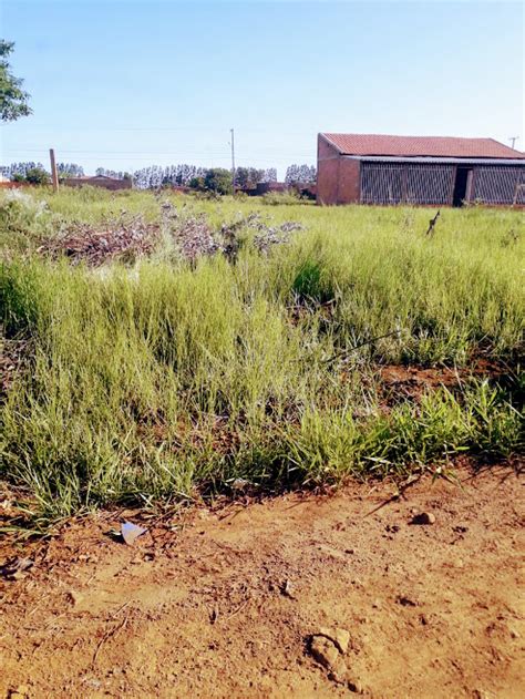 Lote Terreno Na Rua Luiz Filinto Da Silva Riviera Park Em Campo Grande