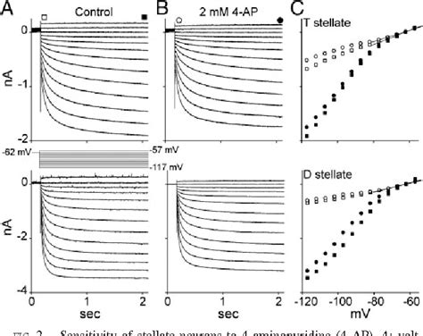 Figure From Hyperpolarization Activated Currents Regulate