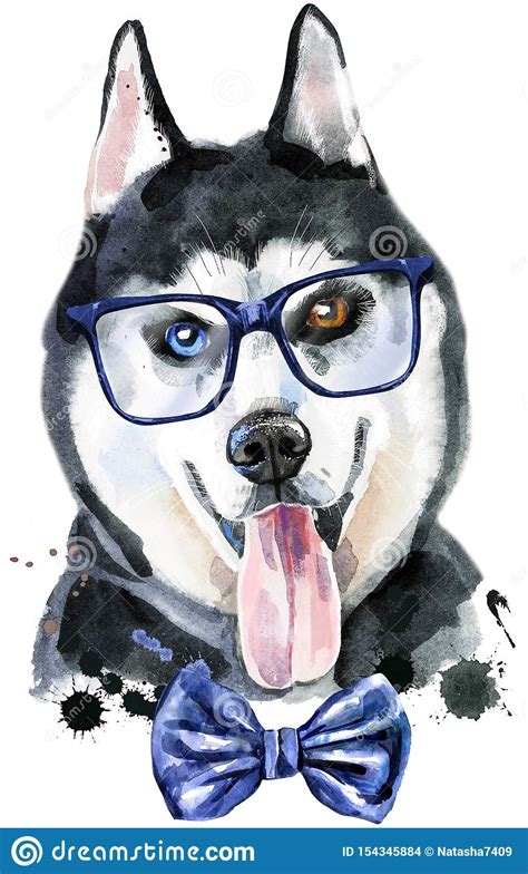 Watercolor Portrait Of Husky With Bow Tie And Glasses Stock