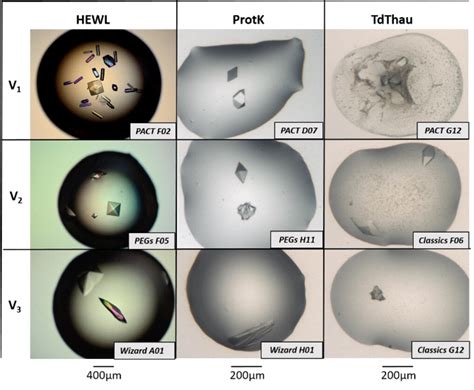 Influence Of Chemical Modifications Of The Crystallophore On Protein