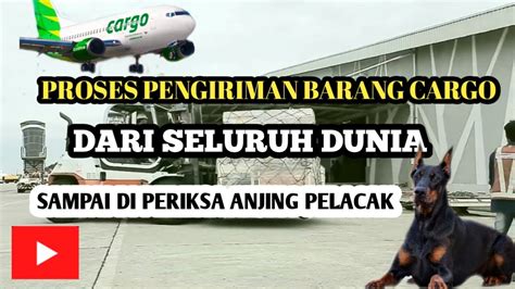 Prosedur Pengiriman Barang Melalui Pesawat Udara Youtube