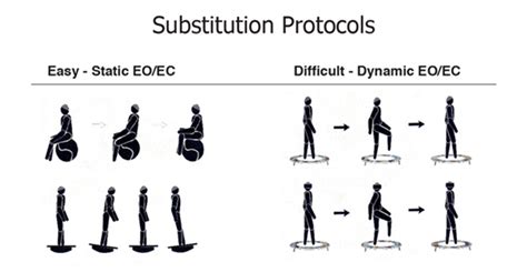 Vestibular Rehabilitation Therapy Diagnosis Based Strategies Ent