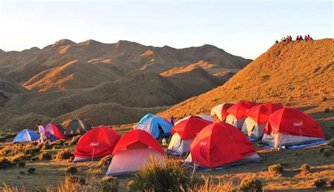 Mt Pulag Hike: What to Bring, Do, See, and Expect (Guide)