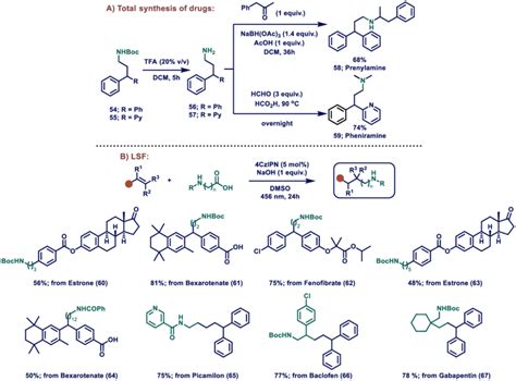 Scheme A Total Synthesis Of Pharmaceuticals And B Late Stage