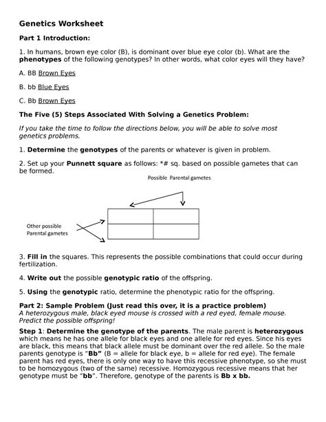 Geneticworksheet Included In Document Genetics Worksheet Part 1