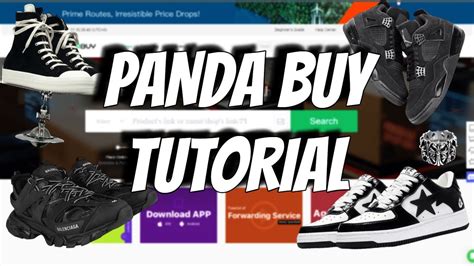 HOW TO USE PANDABUY FULL GUIDE 2023 Updated And Cheapest YouTube