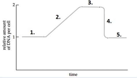 Past Exams Flashcards Quizlet