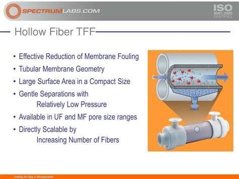 PPT Tangential Flow Filtration Solutions PowerPoint Presentation ID