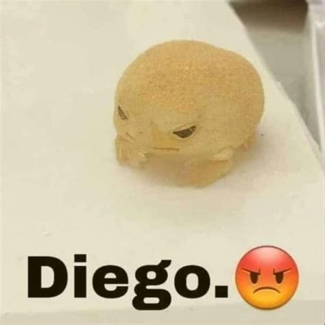 DIEGO. - Meme subido por Andresdubuc123 :) Memedroid