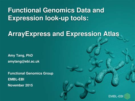 Functional Genomics Data And Expression Look Up Tools ArrayExpress And