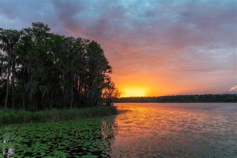 Lake Louisa State Park – Matthew Paulson Photography