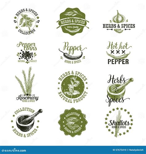 Vector Set Of Herbs And Spices Labels Badges Stock Vector