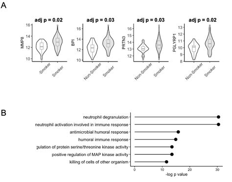 Persistent Cigarette Smoking Is Associated With Rheumatoid Arthritis Onset And Neutrophil