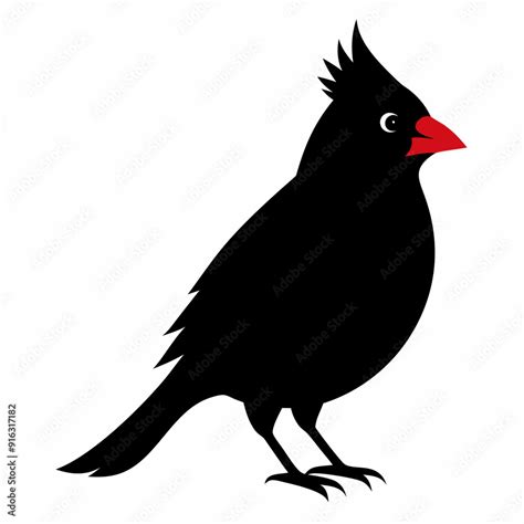 Cardinal Head Isolated On White Background Cardinal Vector