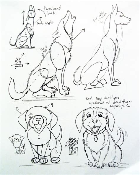 Draw a Dog 2 by Diana-Huang on DeviantArt