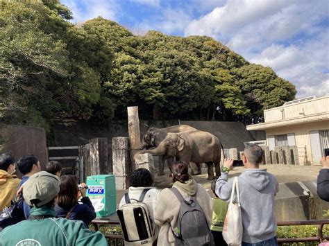 アニマルペアレントのツアーを行いました！こぼれ話｜ブログ金沢動物園公式サイト｜公益財団法人 横浜市緑の協会