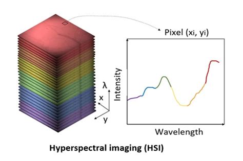 Hyperspectral And Multispectral Imaging Pyroistech