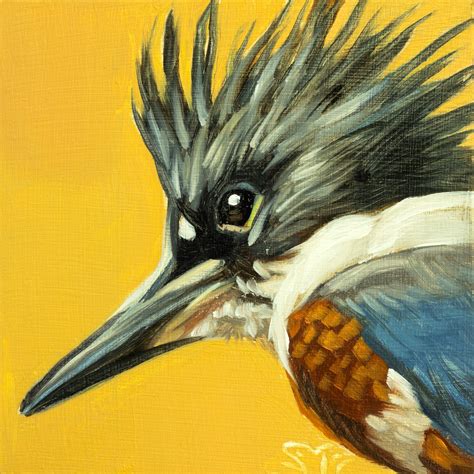 Belted Kingfisher Portrait 8 — Sheila M Evans Studio
