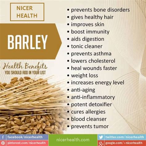 Health Benefits Of Barley In 2020 Barley Health Benefits Barley