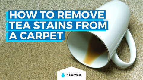 How To Clean Tea Stains From Wool Carpet Resnooze