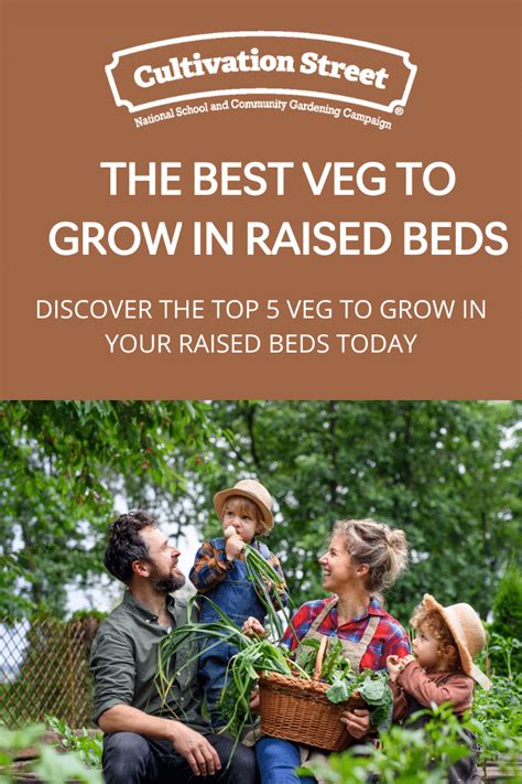 The Best Veg To Grow In Raised Beds Cultivation Street