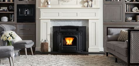 Fireplace Inserts Gas Wood Pellet Flame Center