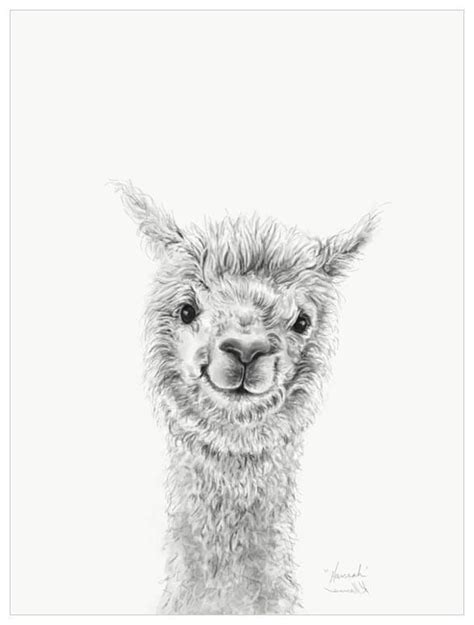 Llama Draw You A Portrait Hannah Wall Art Llama Drawing Alpaca