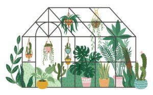 Top Greenhouse Materials For Perfect Plant Growth: A-Z Guide - Eco Home ...