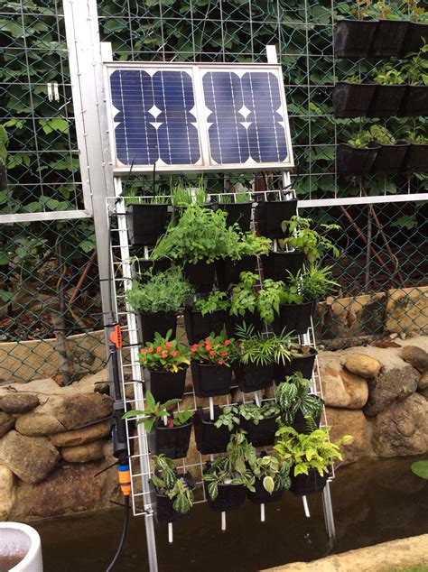 垂直設置於池塘內，以太陽能供電的「魚菜共生」系統！ Solar Powered Aquaponics System Being Installed On Pond Backyard