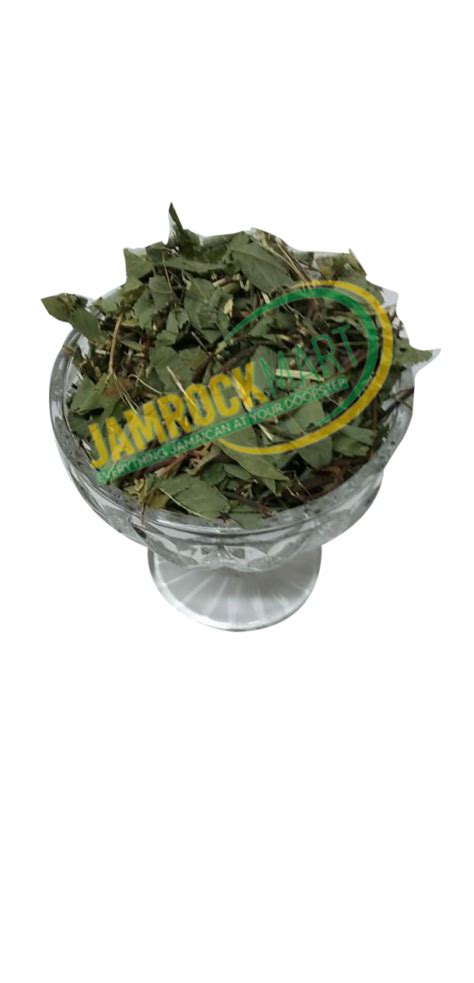 Horny Goat Weed Epimedium Whole Jamrock Mart Authentic Jamaican