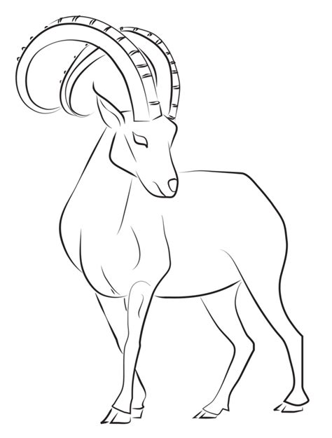 Goat clipart nilgiri tahr, Goat nilgiri tahr Transparent FREE for ...