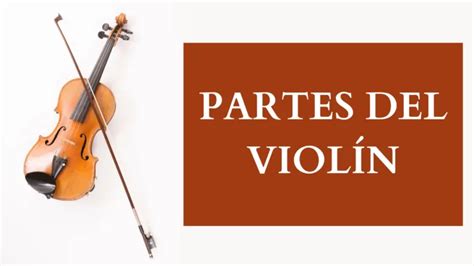 Partes Del Viol N Tutorialesdeviolin