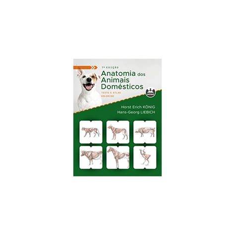 Anatomia Dos Animais Domesticos Texto E Atlas Ubuy India