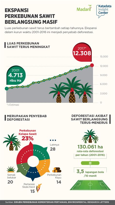 Jumlah Perkebunan Kelapa Sawit Di Indonesia IMAGESEE