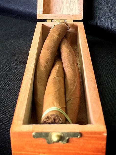 Cigar Trivia Culebras Twisted Cigars Cigar Journal