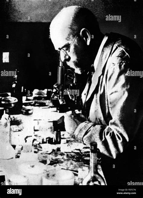 Dr. Robert Koch Stock Photo - Alamy