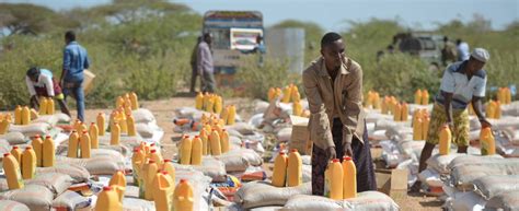 Formation De Base Sur Laide Humanitaire Femmes Paix Et Sécurité En