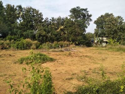 Residential Land Plot For Sale In Alathur Palakkad 4 Sq Yard