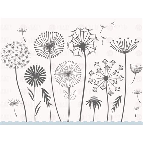 Dandelion Flower Clipart Masterbundles